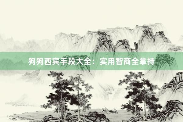 狗狗西宾手段大全:实用智商全掌持