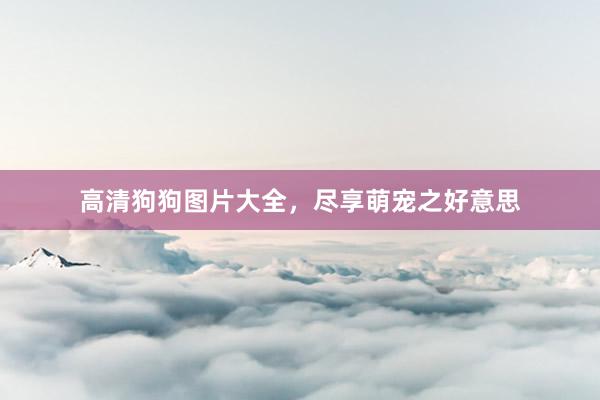 高清狗狗图片大全，尽享萌宠之好意思